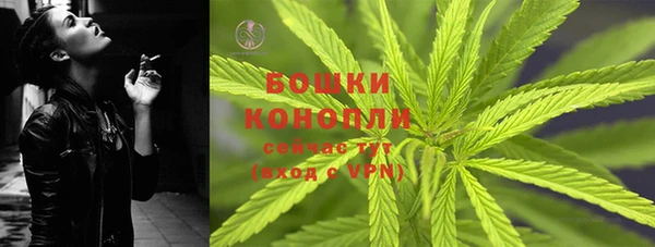 гашик Касимов