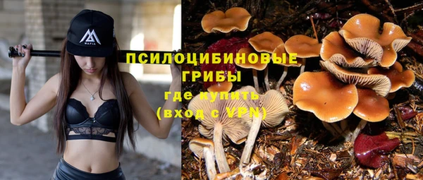 гашик Касимов