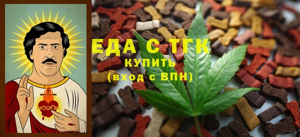 гашик Касимов
