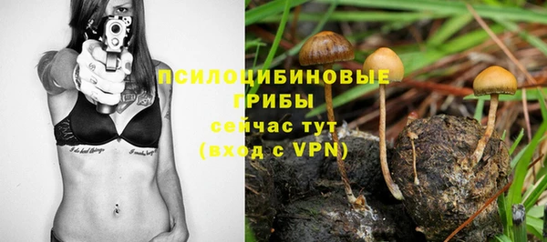 прущая мука Карталы