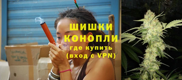гашик Касимов