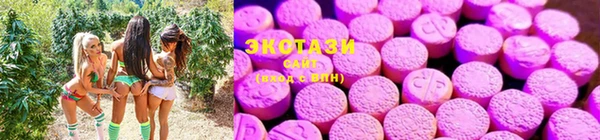 гашик Касимов